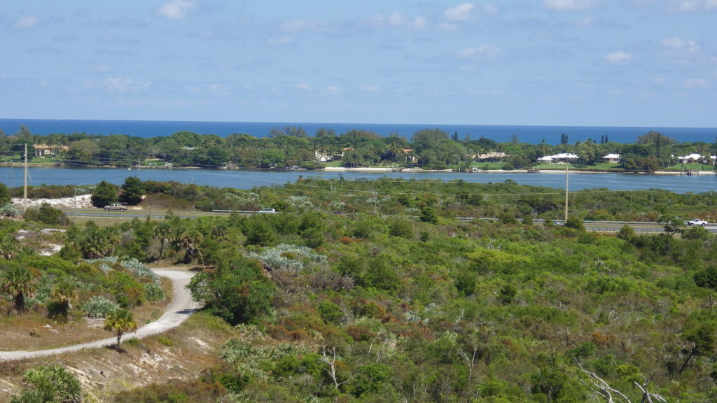 Jonathan Dickenson State Park; Nature