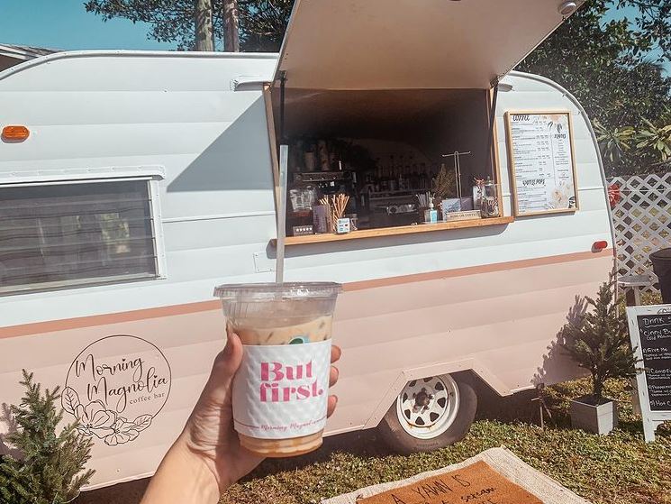 Morning Magnolia Image